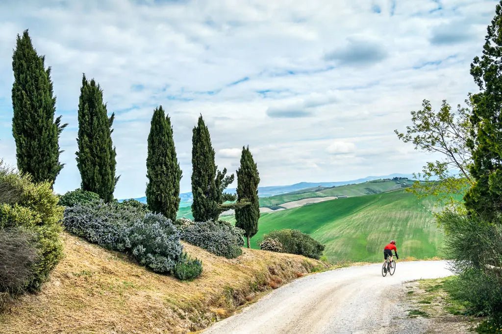 Itinerari - Scoprire le Strade Bianche della Toscana: Un Viaggio Ciclistico tra Natura e Storia - Bike Advice